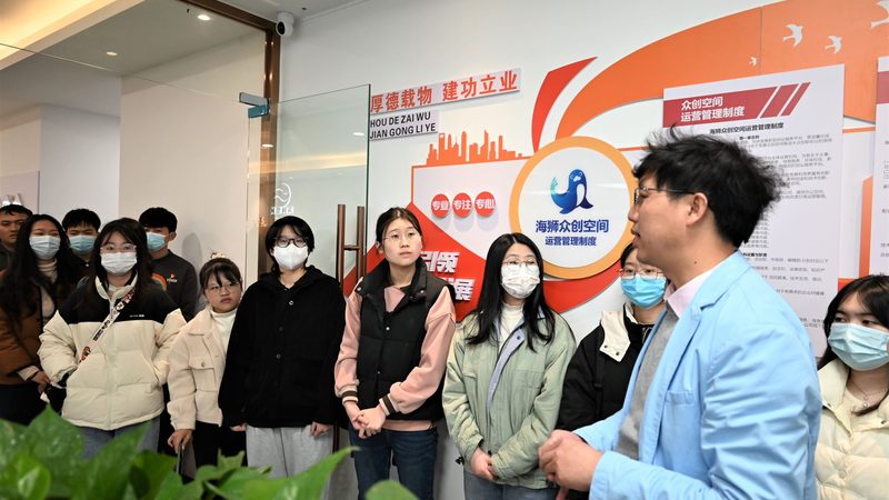 Shopify建站与自建站：流量获取的差异化策略解析